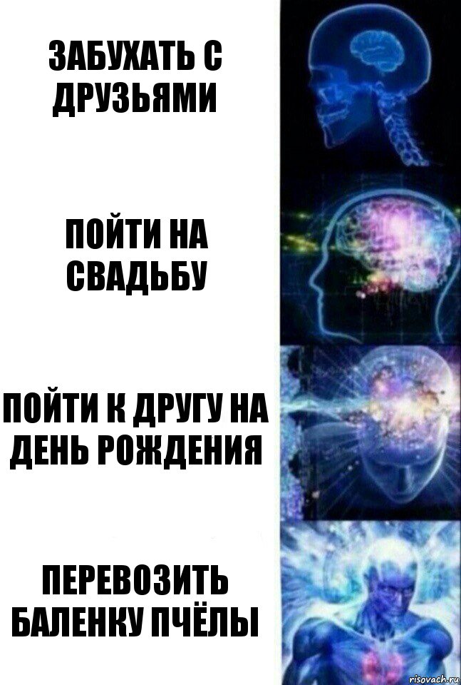 Забухать с друзьями Пойти на свадьбу Пойти к другу на день рождения Перевозить баленку пчёлы, Комикс  Сверхразум