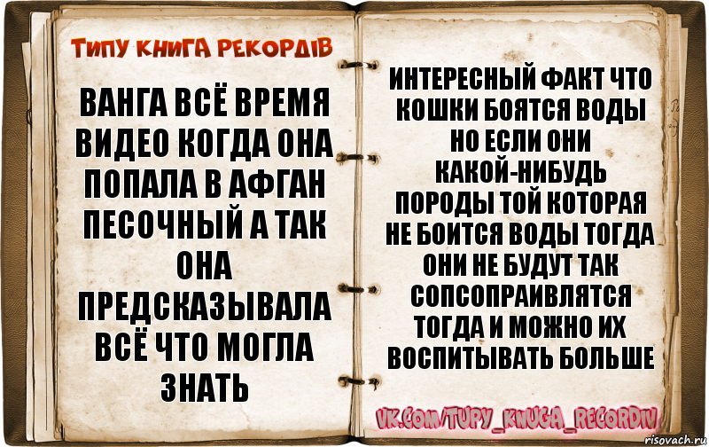 Ванга всё время видео когда она попала в Афган Песочный А так она предсказывала всё что могла знать интересный факт что кошки боятся воды но если они какой-нибудь породы той которая не боится воды тогда они не будут так сопсопраивлятся тогда и можно их воспитывать больше, Комикс  Типу книга рекордв