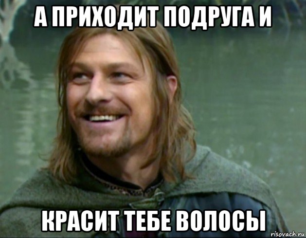 а приходит подруга и красит тебе волосы, Мем Тролль Боромир