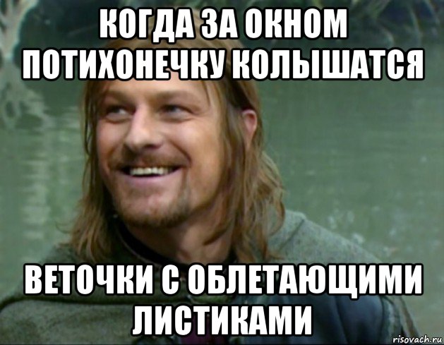 когда за окном потихонечку колышатся веточки с облетающими листиками, Мем Тролль Боромир