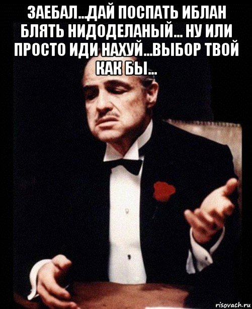 заебал...дай поспать иблан блять нидоделаный... ну или просто иди нахуй...выбор твой как бы... , Мем ты делаешь это без уважения