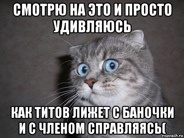 смотрю на это и просто удивляюсь как титов лижет с баночки и с членом справляясь(, Мем  удивлённый кот