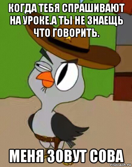 когда тебя спрашивают на уроке.а ты не знаещь что говорить. меня зовут сова