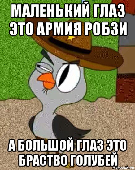 маленький глаз это армия робзи а большой глаз это браство голубей, Мем    Упоротая сова