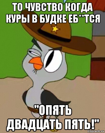 то чувство когда куры в будке еб**тся "опять двадцать пять!", Мем    Упоротая сова