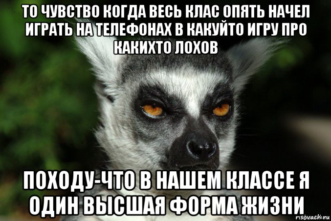 то чувство когда весь клас опять начел играть на телефонах в какуйто игру про какихто лохов походу-что в нашем классе я один высшая форма жизни