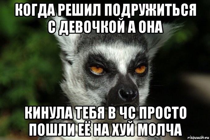 когда решил подружиться с девочкой а она кинула тебя в чс просто пошли её на хуй молча