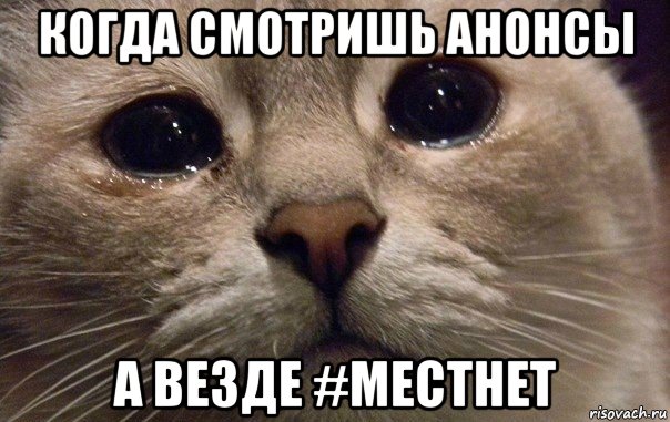 когда смотришь анонсы а везде #местнет, Мем   В мире грустит один котик