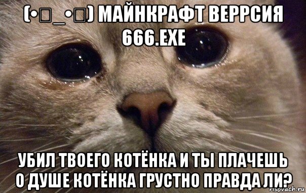 (•ิ_•ิ) майнкрафт веррсия 666.exe убил твоего котёнка и ты плачешь о душе котёнка грустно правда ли?, Мем   В мире грустит один котик