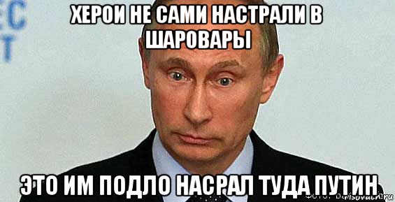 херои не сами настрали в шаровары это им подло насрал туда путин