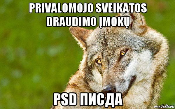 privalomojo sveikatos draudimo įmokų psd писда