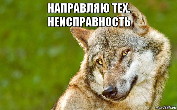 направляю тех. неисправность , Мем   Volf