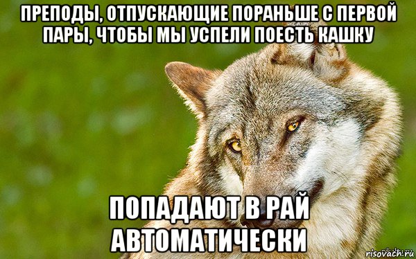 преподы, отпускающие пораньше с первой пары, чтобы мы успели поесть кашку попадают в рай автоматически, Мем   Volf