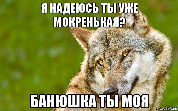 я надеюсь ты уже мокренькая? банюшка ты моя, Мем   Volf