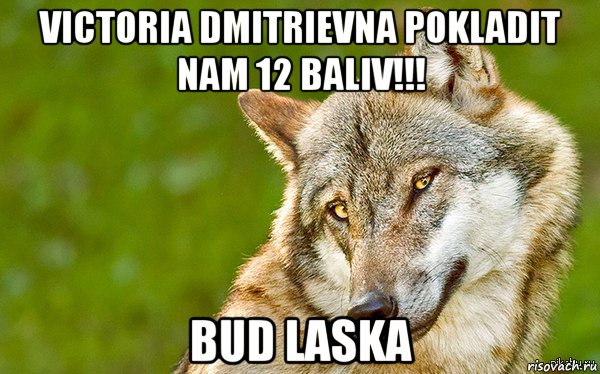 victoria dmitrievna pokladit nam 12 baliv!!! bud laska, Мем   Volf