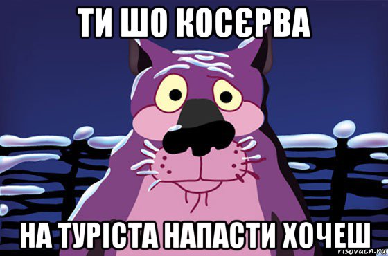 ти шо косєрва на туріста напасти хочеш, Мем Волк