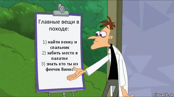 Главные вещи в походе: 1) найти пенку и спальник
2) забить место в палатке
3) знать кто ты из феечек Винкс, Комикс   Список