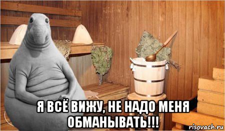  я всё вижу, не надо меня обманывать!!!, Мем  Ждун в бане