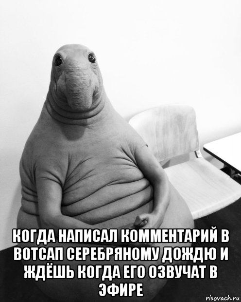  когда написал комментарий в вотсап серебряному дождю и ждёшь когда его озвучат в эфире, Мем  Ждун