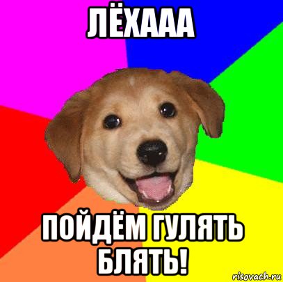 лёхааа пойдём гулять блять!, Мем Advice Dog