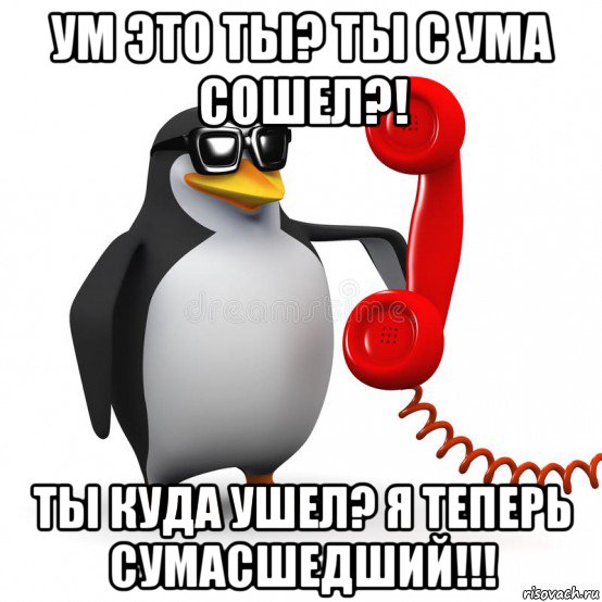 ум это ты? ты с ума сошел?! ты куда ушел? я теперь сумасшедший!!!, Мем  Ало