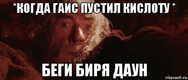 *когда гаис пустил кислоту * беги биря даун