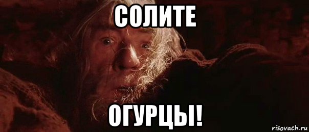 солите огурцы!