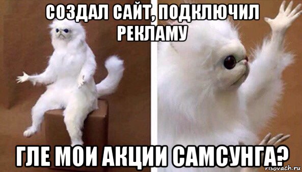 создал сайт, подключил рекламу гле мои акции самсунга?, Мем Чучело кота