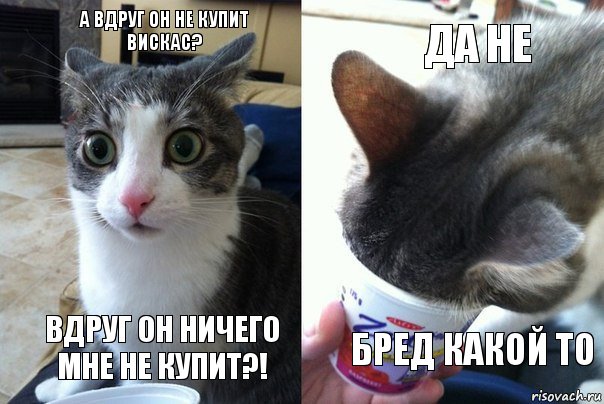 А вдруг он не купит вискас? Вдруг он ничего мне не купит?! Да не Бред какой то, Комикс  Да не бред какой-то (4 зоны)