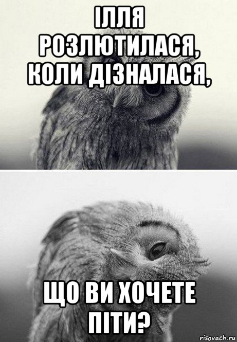 ілля розлютилася, коли дізналася, що ви хочете піти?, Мем дай денюшку