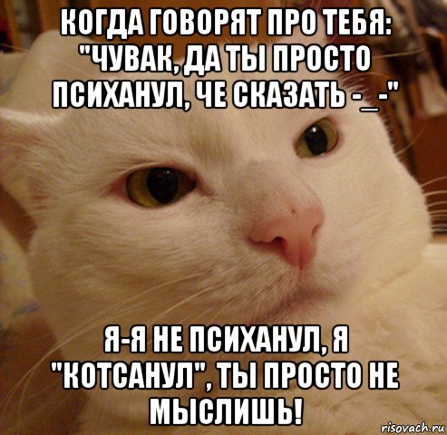 когда говорят про тебя: "чувак, да ты просто психанул, че сказать -_-" я-я не психанул, я "котсанул", ты просто не мыслишь!, Мем Дерзкий котэ