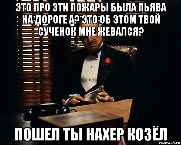 это про эти пожары была пьява на дороге а? это об этом твой сученок мне жевался? пошел ты нахер козёл, Мем Дон Вито Корлеоне