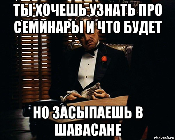 ты хочешь узнать про семинары и что будет но засыпаешь в шавасане, Мем Дон Вито Корлеоне