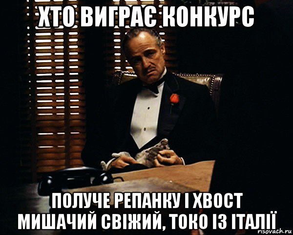 хто виграє конкурс получе репанку і хвост мишачий свіжий, токо із італії, Мем Дон Вито Корлеоне