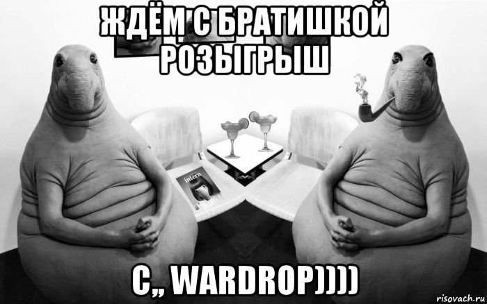 ждём с братишкой розыгрыш с,, wardrop)))), Мем  Два ждуна