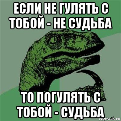 если не гулять с тобой - не судьба то погулять с тобой - судьба, Мем Филосораптор