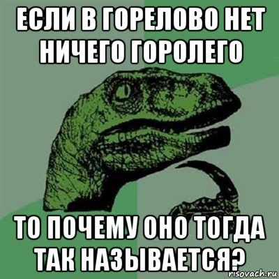 если в горелово нет ничего горолего то почему оно тогда так называется?, Мем Филосораптор