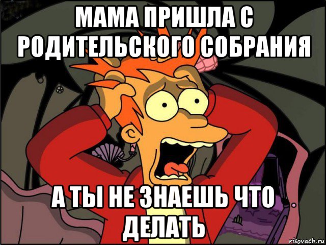 мама пришла с родительского собрания а ты не знаешь что делать, Мем Фрай в панике