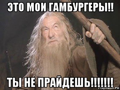 это мои гамбургеры!! ты не прайдешь!!!!!!!, Мем Гендальф - Ты не пройдешь