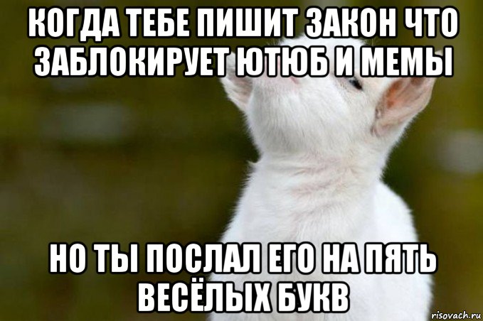 когда тебе пишит закон что заблокирует ютюб и мемы но ты послал его на пять весёлых букв, Мем  Гордый козленок