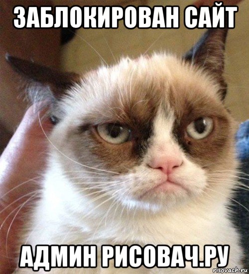 заблокирован сайт админ рисовач.ру, Мем Грустный (сварливый) кот
