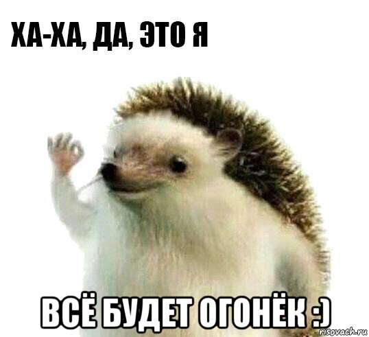  всё будет огонёк :), Мем Ха-ха да это я