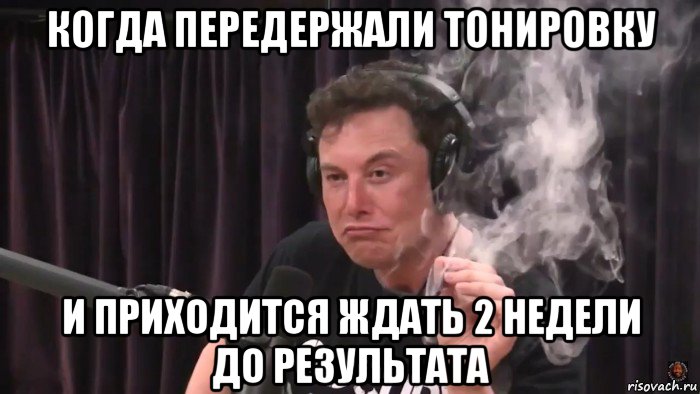 когда передержали тонировку и приходится ждать 2 недели до результата, Мем Илон Маск