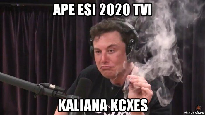 ape esi 2020 tvi kaliana kcxes, Мем Илон Маск