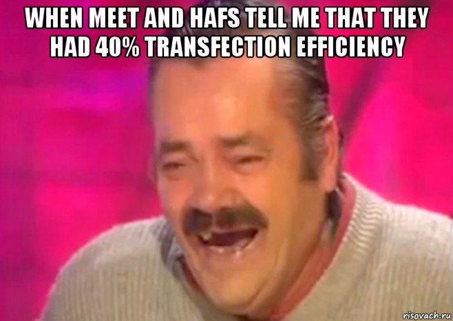 when meet and hafs tell me that they had 40% transfection efficiency , Мем  Испанец