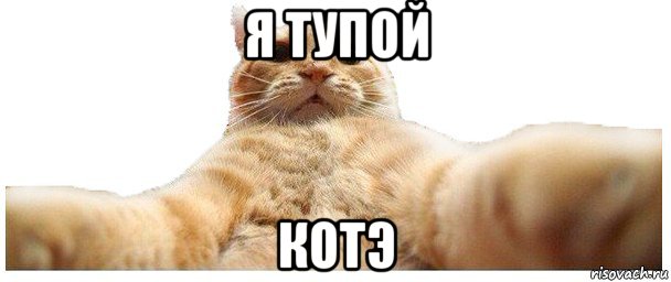 я тупой котэ