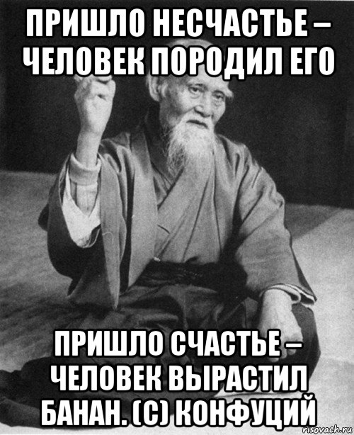 пришло несчастье – человек породил его пришло счастье – человек вырастил банан. (с) конфуций, Мем конфуций