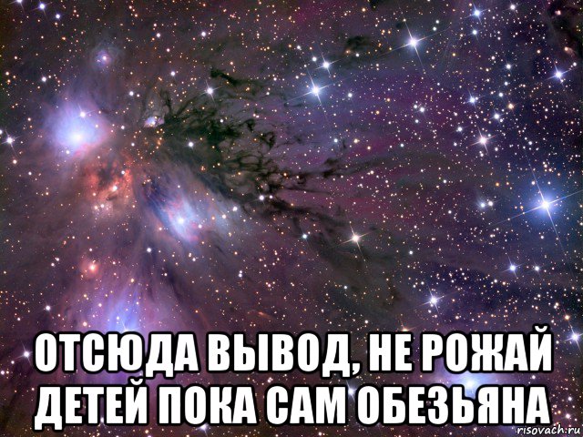  отсюда вывод, не рожай детей пока сам обезьяна, Мем Космос