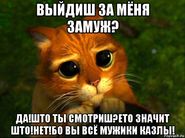 выйдиш за мёня замуж? да!што ты смотриш?ето значит што!нет!бо вы всё мужики казлы!, Мем кот из шрека