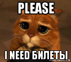 please i need билеты, Мем Кот из Шрека